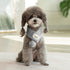 Furiva Pompom Knit Pet Scarf for Dogs & Cats - product image 6