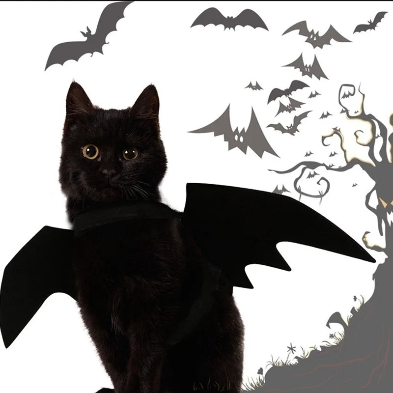 Furiva Black Bat Wings Pet Costume - product image 4