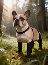 Furiva Outdoor Hiking Dog Boots - product image 7