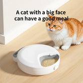 Furiva 4-Compartment Wet & Dry Food Pet Feeder - product image 4