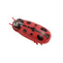 Furiva Mini Moving Bug Cat Toy - product image 27