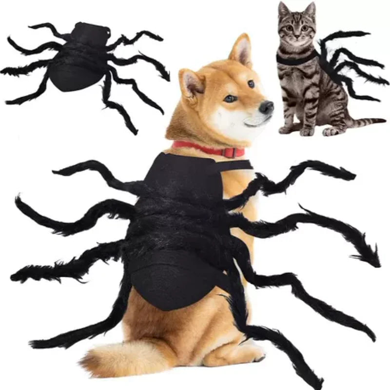 Furiva Halloween Spider Pet Costume from Furiva Pets
