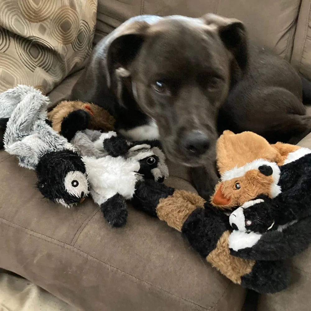 Dog using soft animal play toys