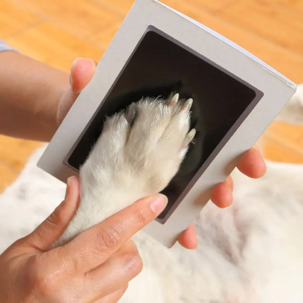 Clean-Touch Paw Print Ink Pad from Furiva Pets