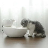 Furiva 1L Ceramic Pet Water Fountain - product image 3
