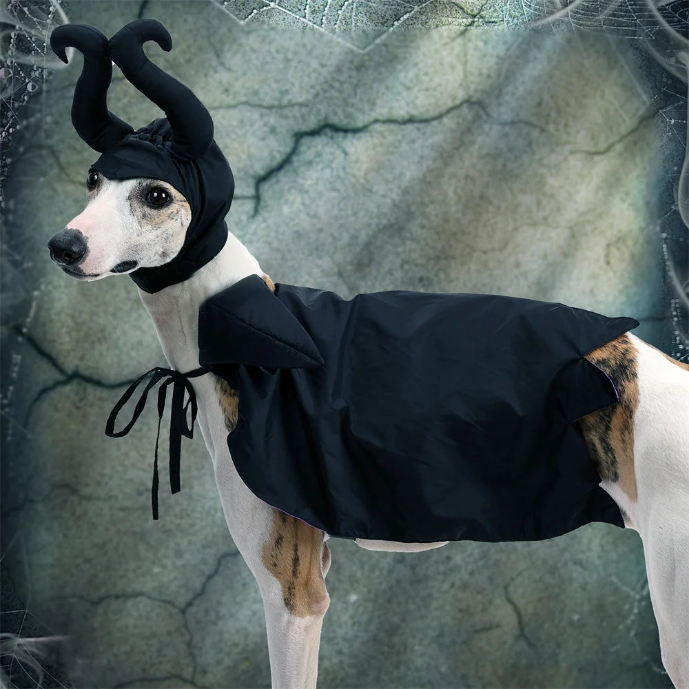 Furiva Black & Purple Villain Pet Cape Set - product image 4