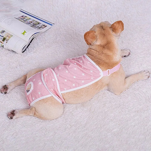 Furiva Adjustable Dog Diaper Suspender Shorts from Furiva Pets