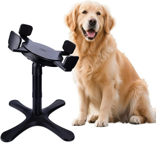 Furiva 3-Height Tilted Dog Bowl Stand from Furiva Pets
