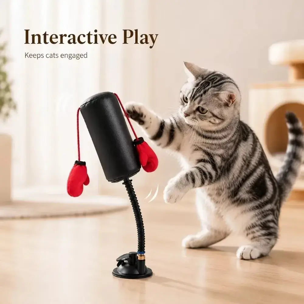 Furiva Springcat boxing toy with suction base for endless play and fun for cats