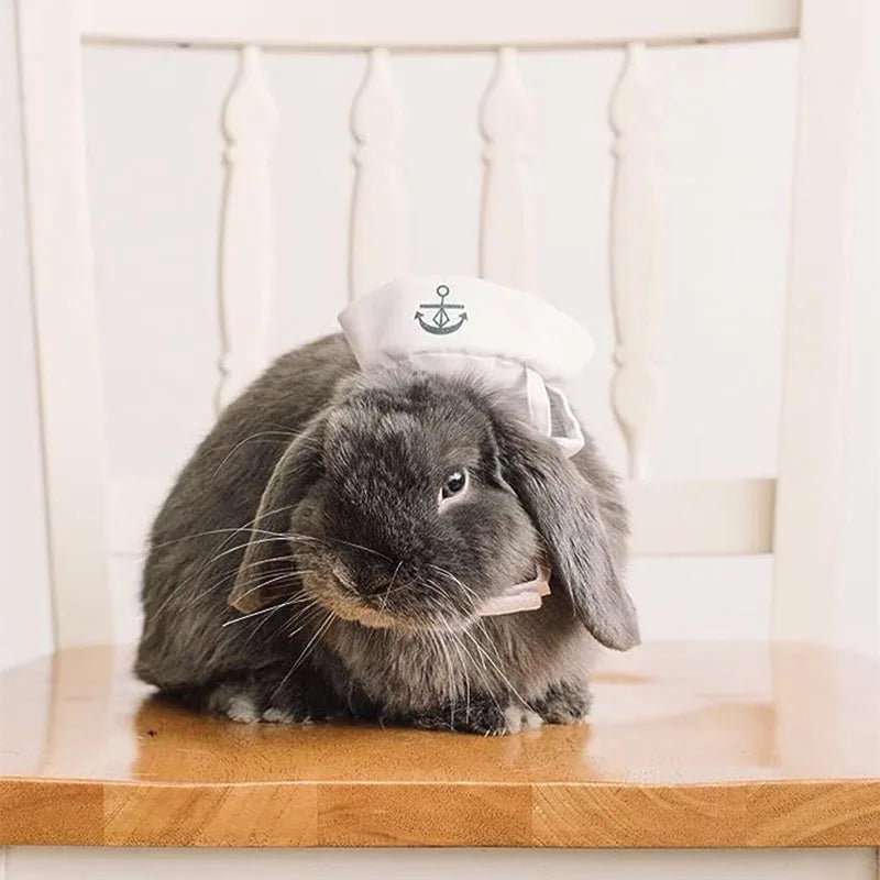 Furiva Sailor Pet Costume for Dogs & Cats - product image 5