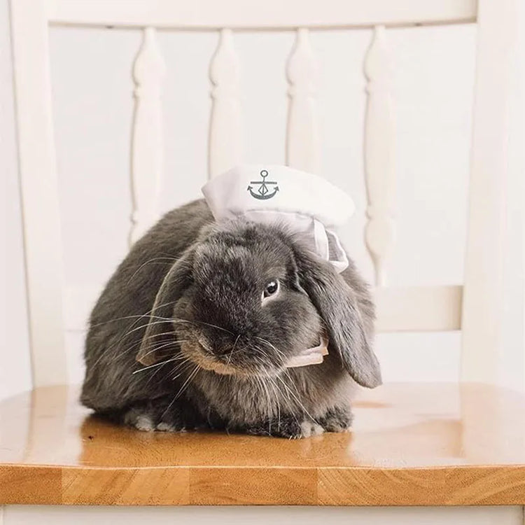 Furiva Sailor Pet Costume for Dogs & Cats - product image 5