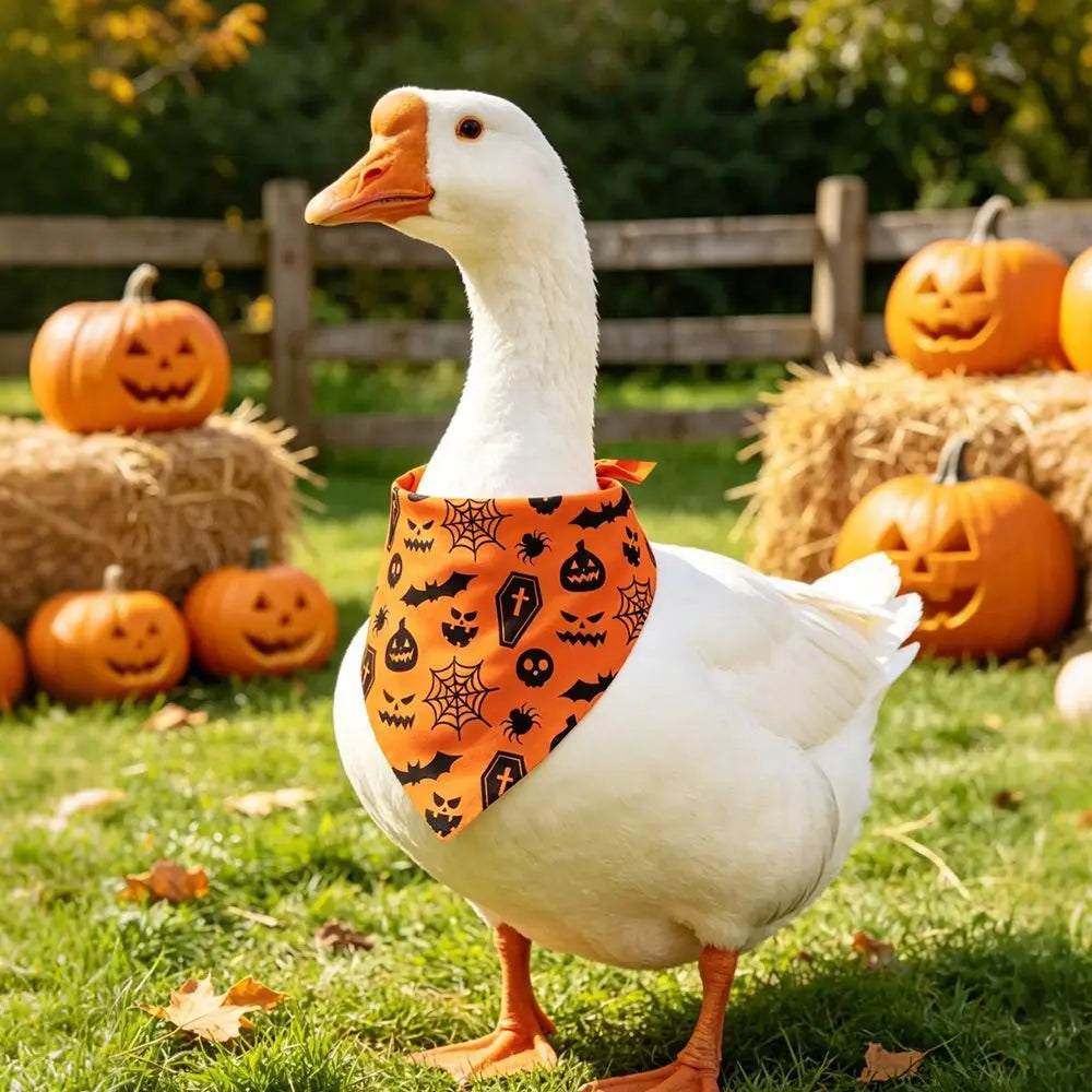 Furiva Halloween Ghost & Pumpkin Pet Bandana - product image 4