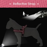 Furiva Reflective No-Pull Dog Harness - product image 3