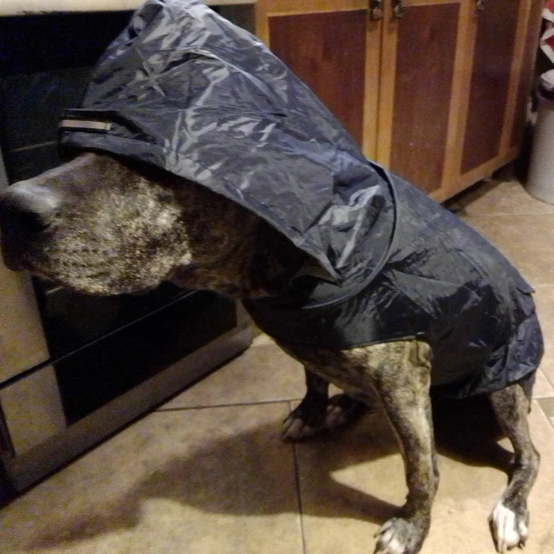 Furiva Lightweight Reflective Dog Rain Poncho - product image 5