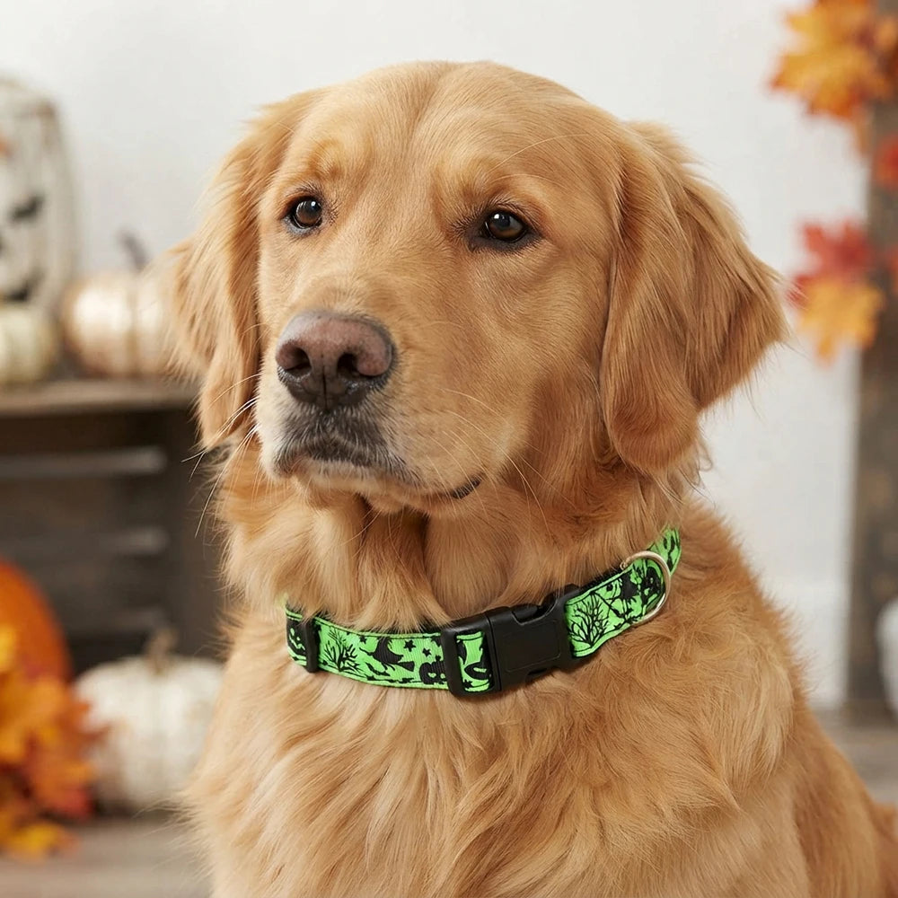 Furiva Halloween Pet Neck Scarf - product image 5