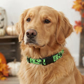 Furiva Halloween Pet Neck Scarf - product image 5