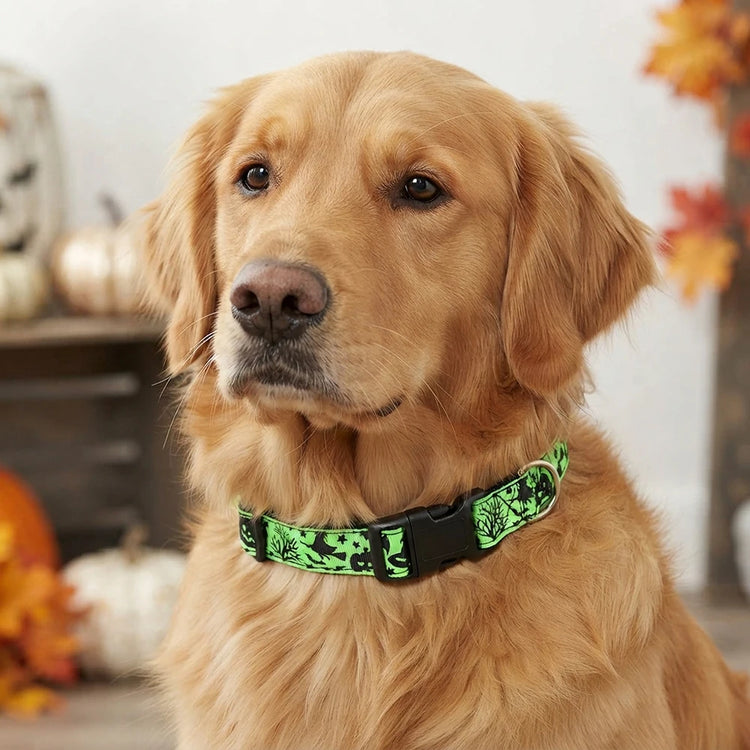 Furiva Halloween Pet Neck Scarf - product image 5