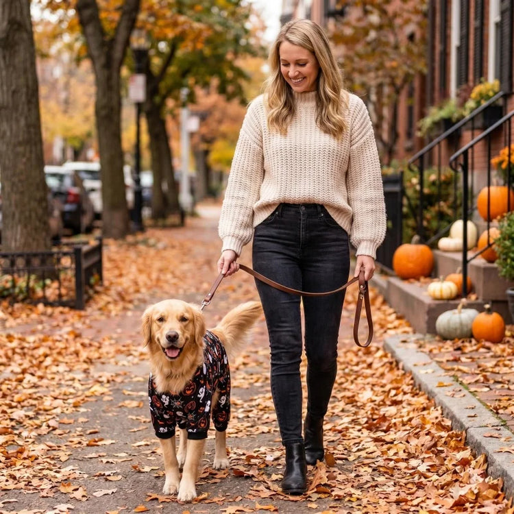 Furiva Pumpkin Print Pet Jumpsuit - product image 5