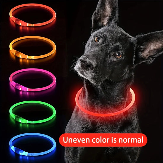 Furiva USB Rechargeable LED Dog Collar from Furiva Pets