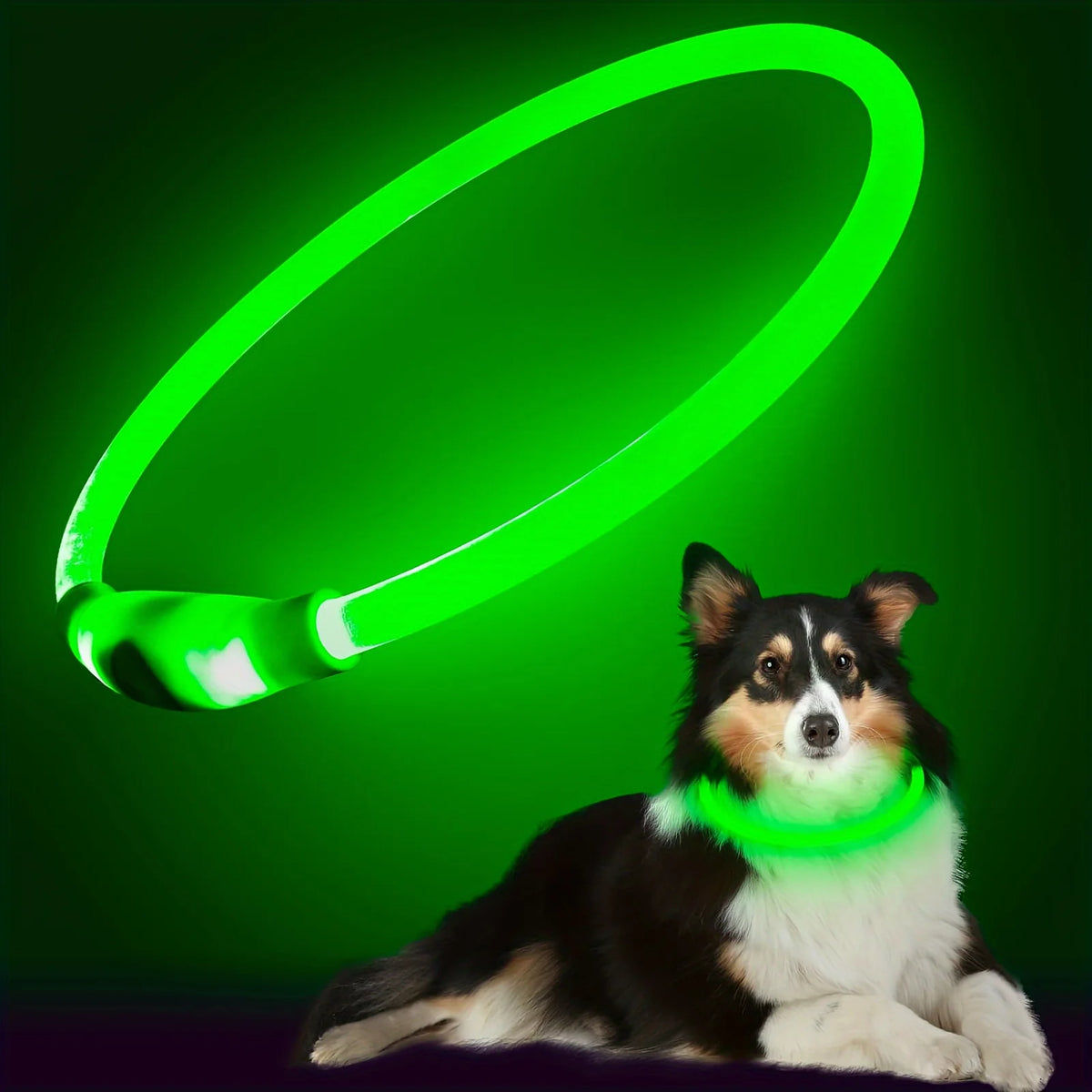 Furiva USB Rechargeable LED Dog Collar - product image 7