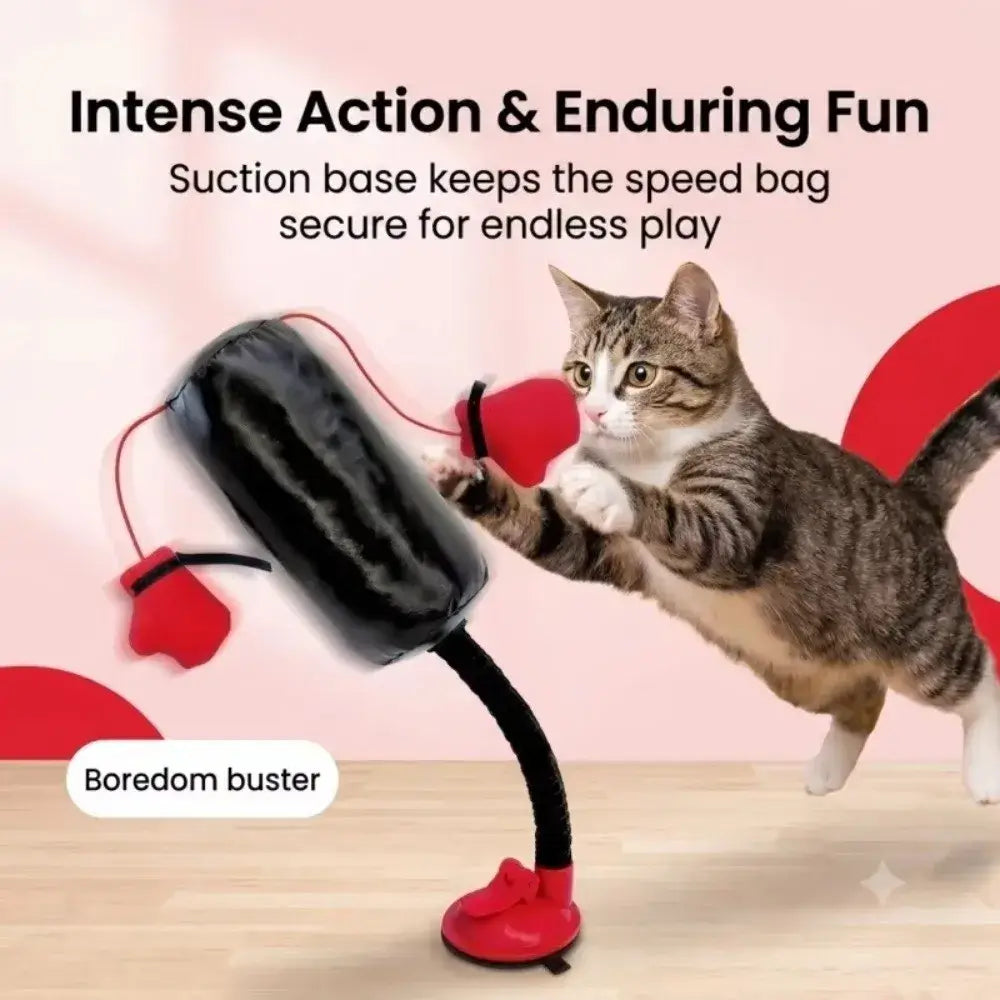 Furiva Springcat boxing toy with suction base for endless play and fun for cats
