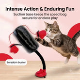 Furiva Springcat boxing toy with suction base for endless play and fun for cats