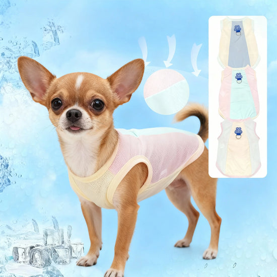 Furiva UV-Protective Cooling Vest for Dogs from Furiva Pets