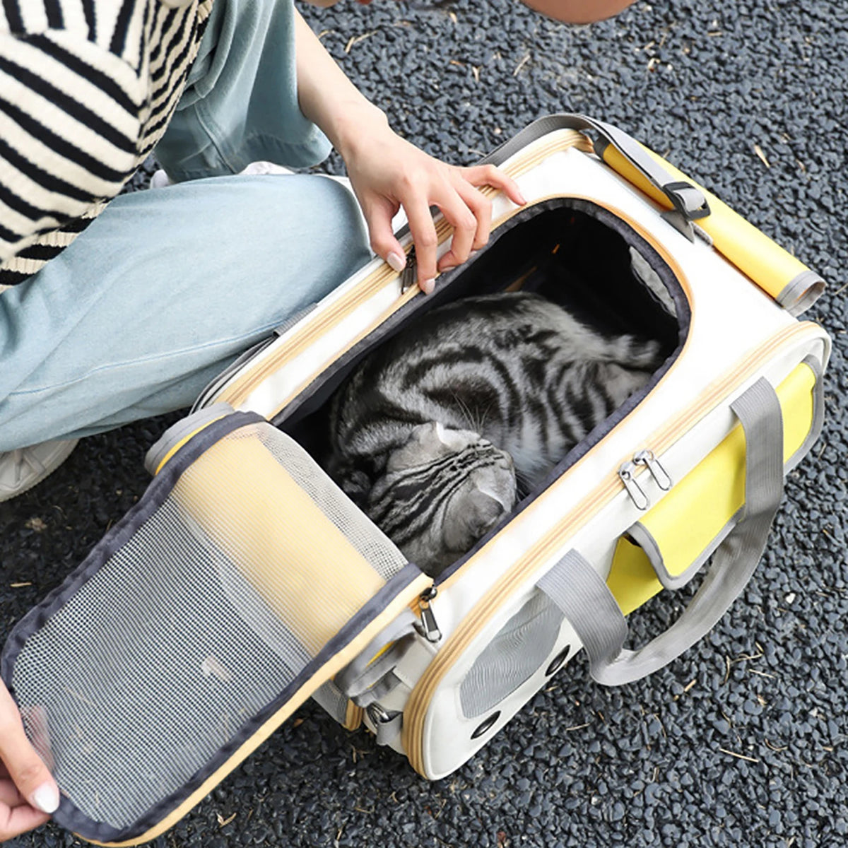Furiva Foldable Soft-Sided Pet Travel Carrier - product image 5