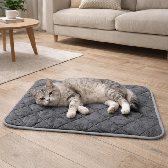 Furiva Self-Warming Pet Sleeping Mat from Furiva Pets