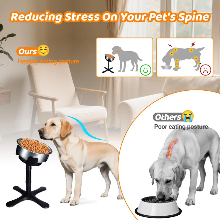 Furiva 3-Height Tilted Dog Bowl Stand - product image 3