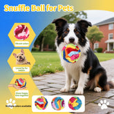 Furiva Foraging Snuffle Ball for Dogs & Cats from Furiva Pets