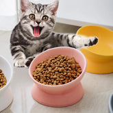 Furiva 15° Tilted Ceramic Pet Bowl - product image 2