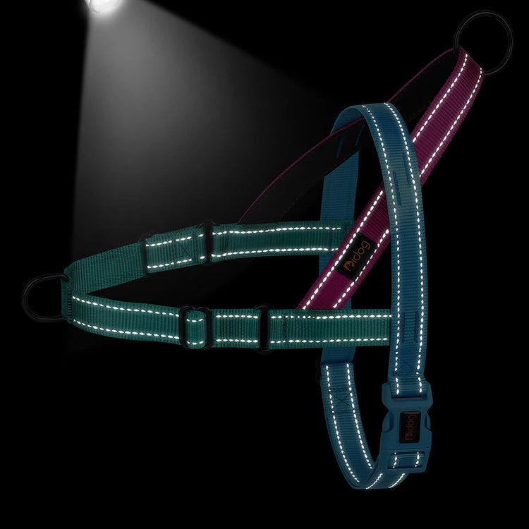 Furiva Durable Padded Reflective Dog Harness - product image 5