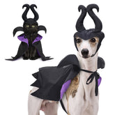 Furiva Black & Purple Villain Pet Cape Set from Furiva Pets