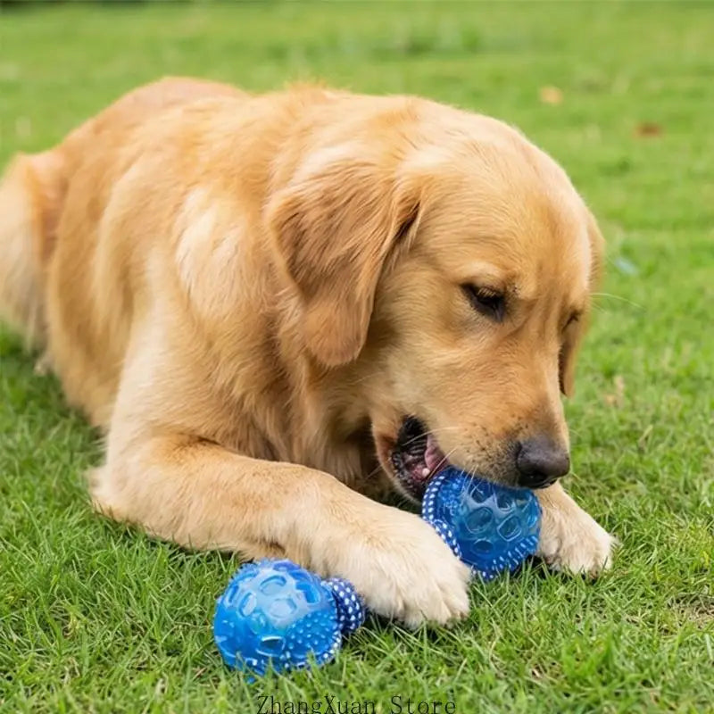 Furiva Tennis Ball Rope Squeaky Toy from Furiva Pets