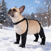 Furiva Outdoor Hiking Dog Boots - product image 4