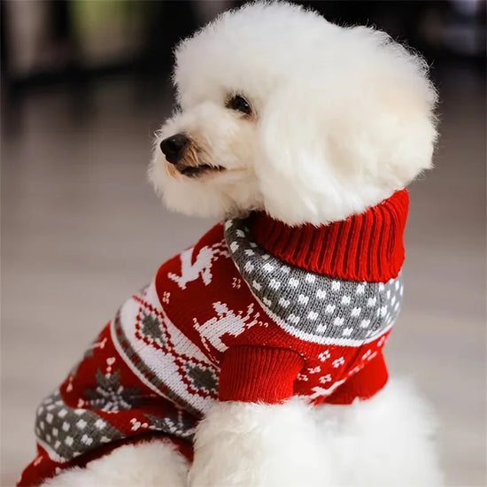 Furiva Knitted Christmas Pet Sweater from Furiva Pets