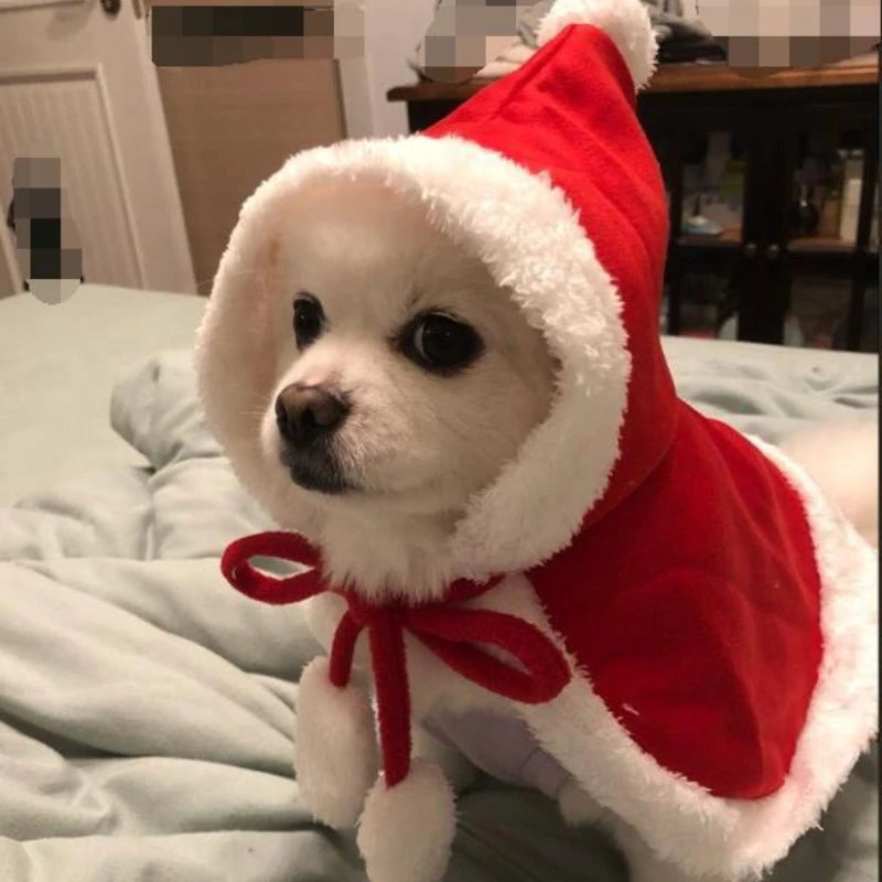 Furiva Santa Pet Cape & Hat for Dogs & Cats from Furiva Pets