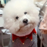 Furiva Christmas Bell Pet Bandana Collar - product image 4