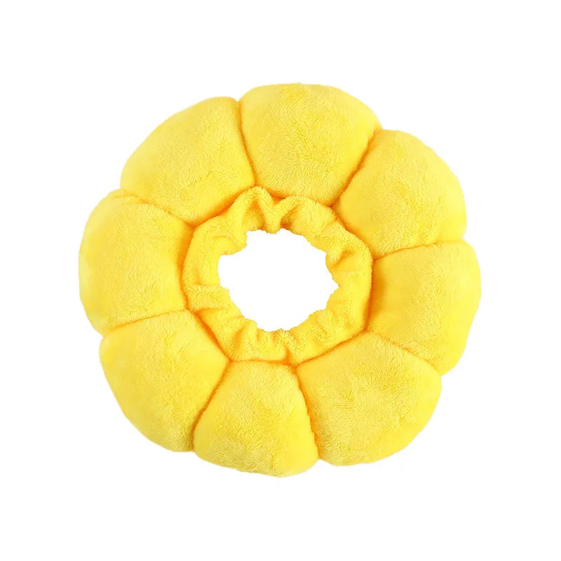 Yellow sunflower collar viewed from above