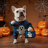 Furiva Ghost Costume for Dogs & Cats - product image 6