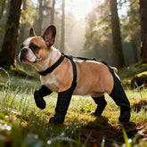 Furiva Outdoor Hiking Dog Boots - product image 2