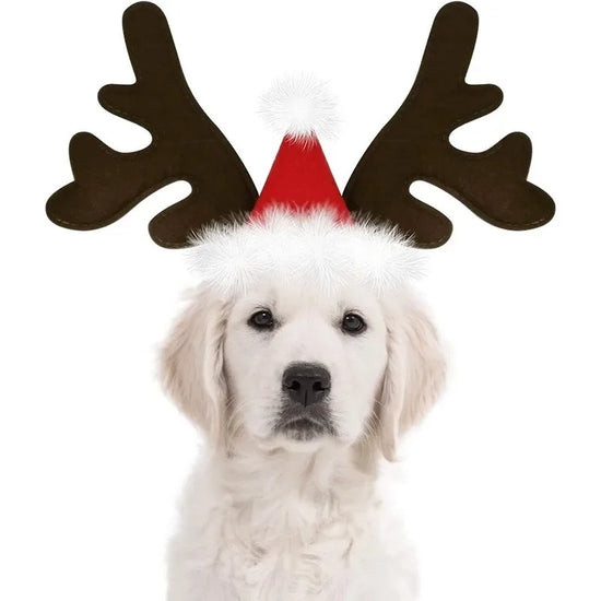 Furiva Reindeer Antler Pet Headband from Furiva Pets