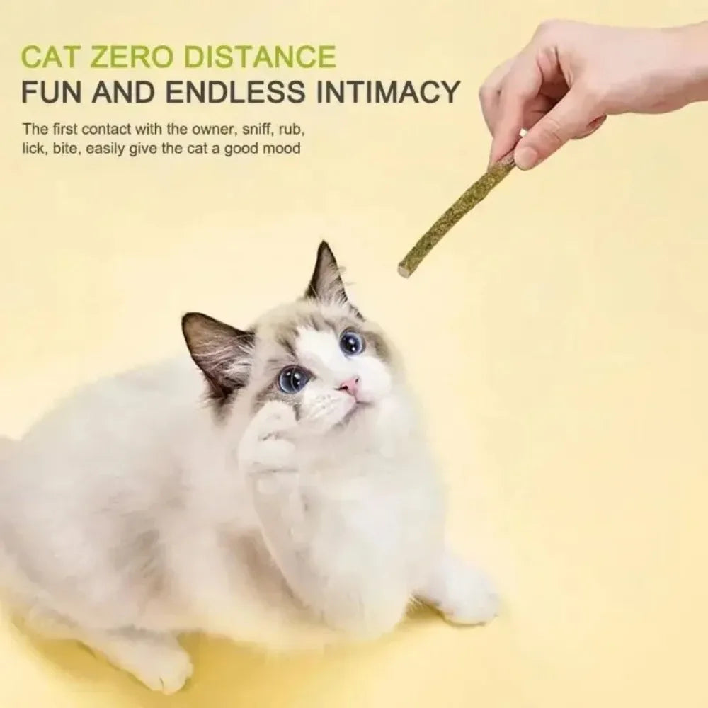 Furiva Silvervine Cat Play Sticks - product image 3