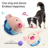 Furiva Interactive Bouncing Pet Ball - product image 5