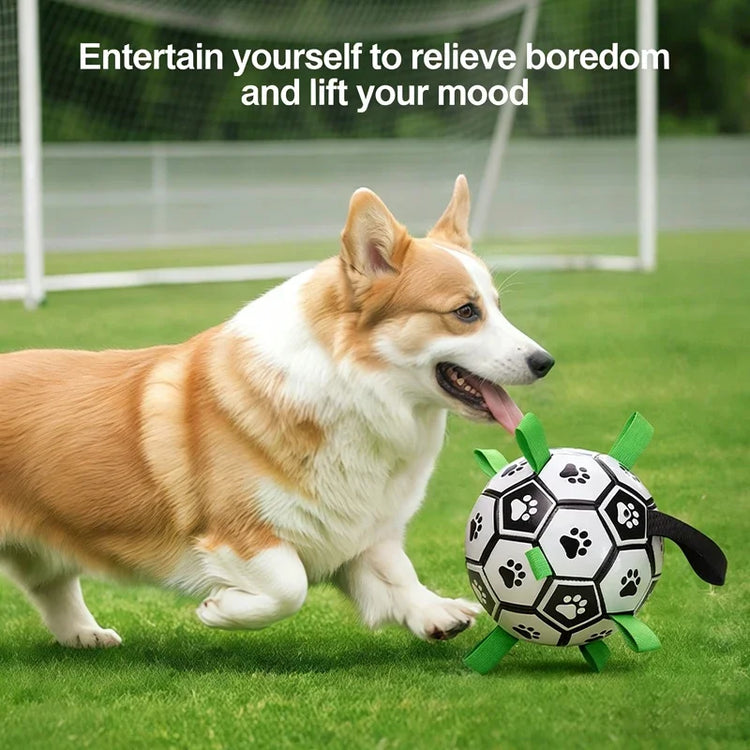 Furiva Grab-Tab Dog Soccer Ball - product image 4