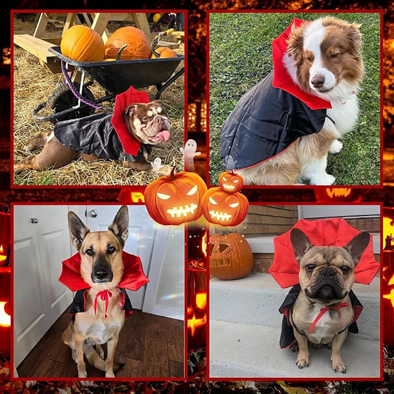 Furiva Halloween Vampire Pet Cape - product image 4