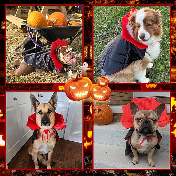 Furiva Halloween Vampire Pet Cape - product image 4