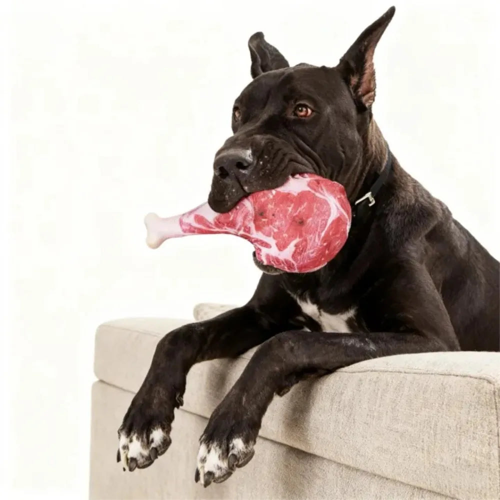 Furiva Steak-Shaped Dog Chew Toy - product image 4