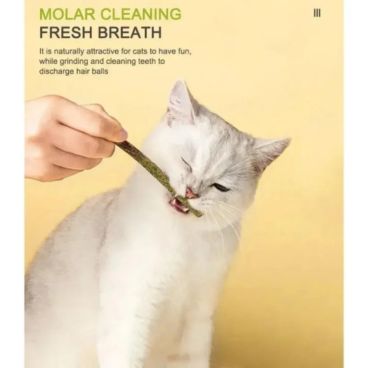 Furiva Silvervine Cat Play Sticks - product image 4